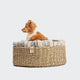 cloud7-lazy-hundekorb-linen-stripes-natural-blue-nestbett-mit-kissen image 3