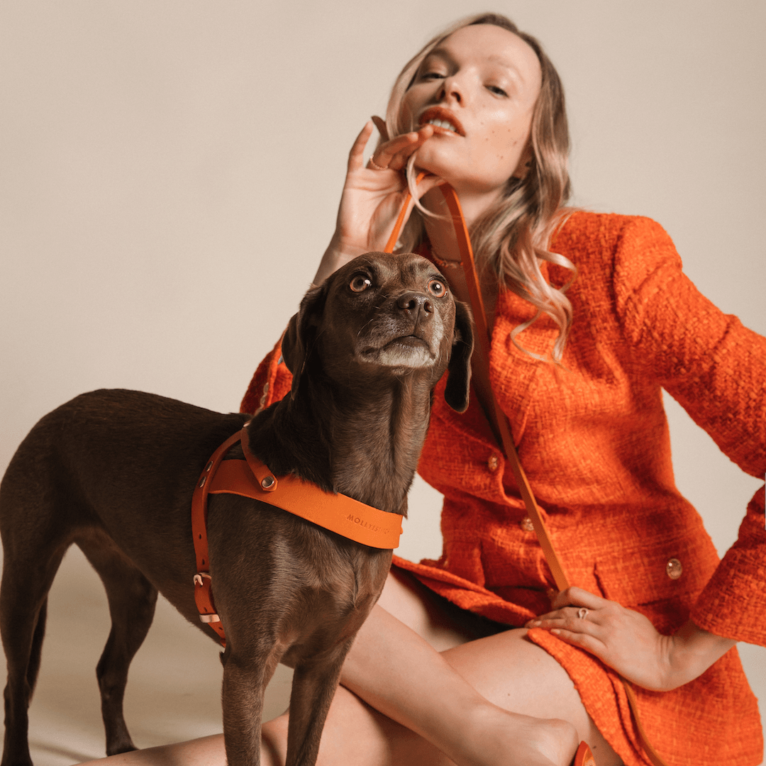 molly-and-stitch-butter-leather-city-hundeleine-140-cm-mango image 3