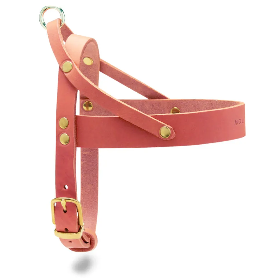 molly-and-stitch-butter-leather-hundegeschirr-coral-pink image 1