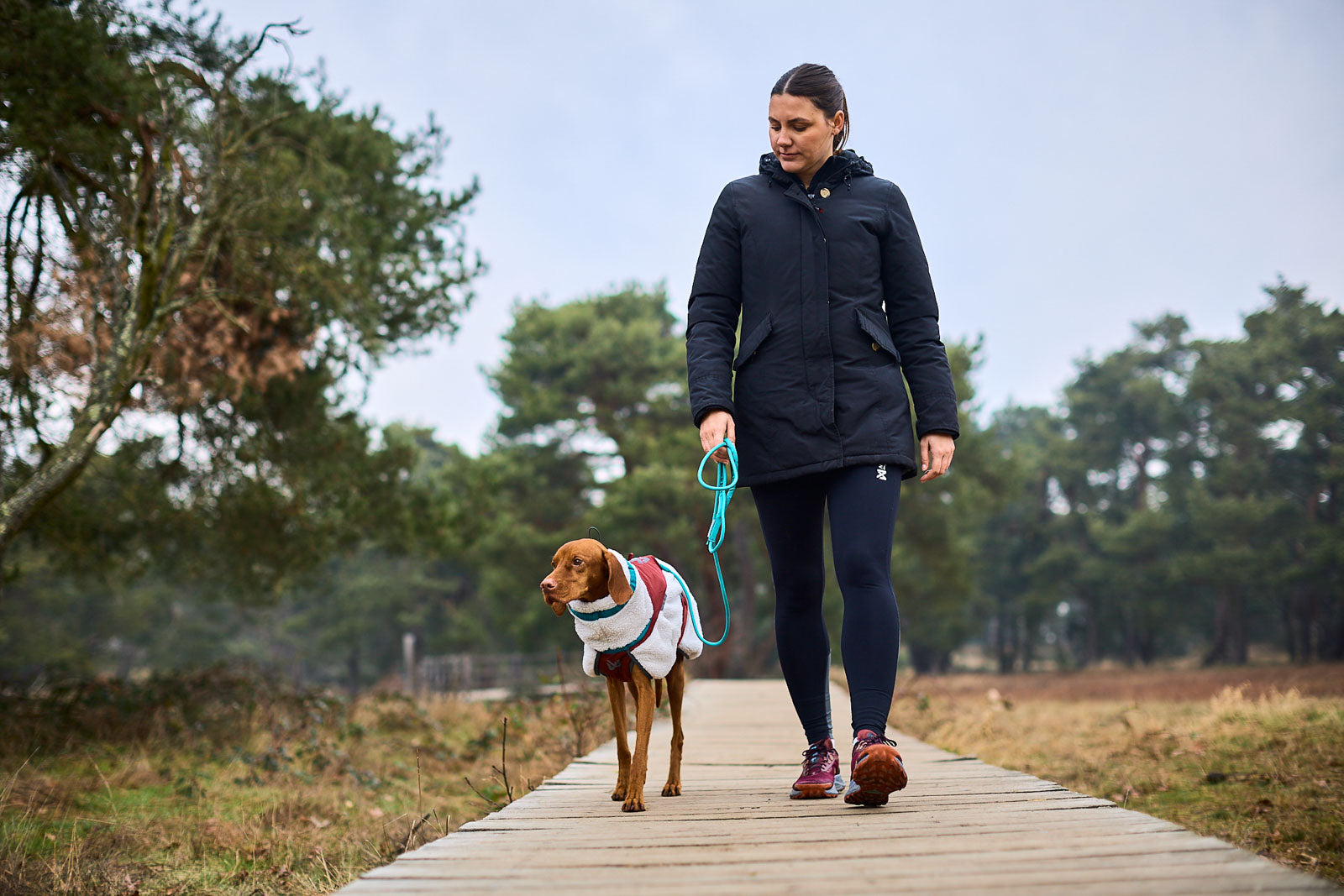 non-stop-dogwear-trekking-rope-leash-teal-robuste-seil-f-hrleine-1-2-m-2-m-2-8-m image 3