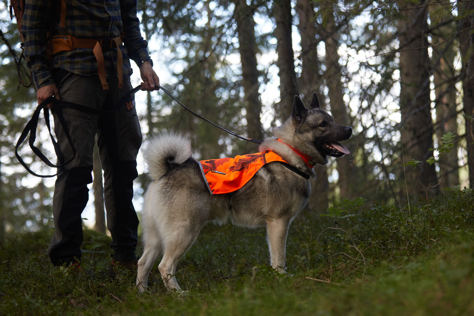 non-stop-dogwear-camo-cover-hunde-schutzweste image 5