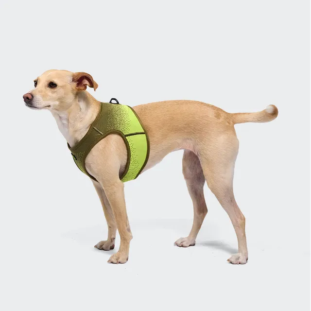 cloud7-hundegeschirr-v-3-vest-harness-aktiv-knit-khaki-neon-green image 1