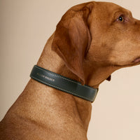 william-walker-luxe-glattleder-hundehalsband-forest-dunkelgr-n image 6