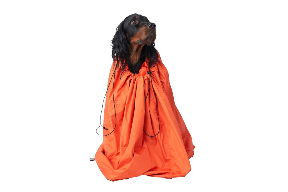 non-stop-dogwear-protector-bivvy-bag-hunde-schlafsack image 1