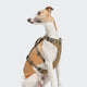 cloud7-y-safe-sicherheitsgeschirr-aktiv-khaki-grey image 2
