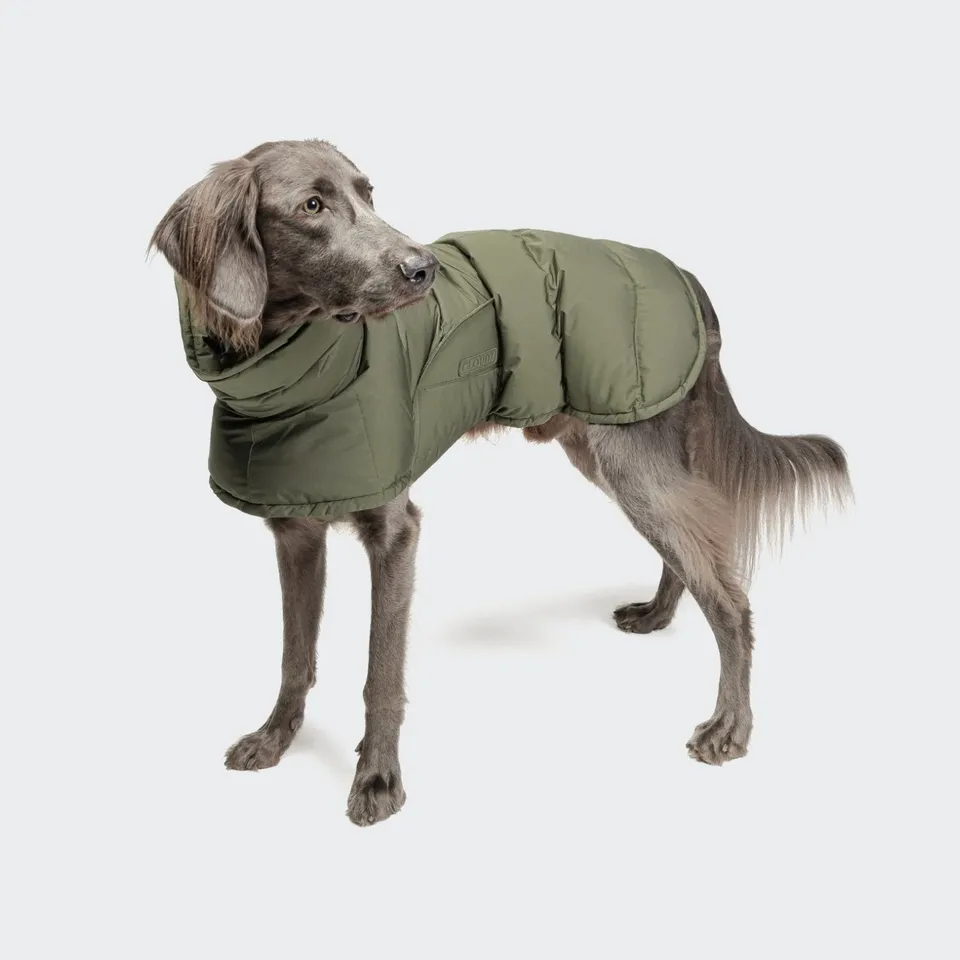 cloud7-dog-coat-everest-light-olive image 1