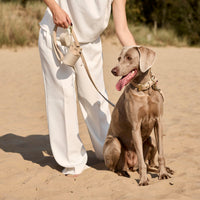 william-walker-luxe-wildleder-hundeleine-almond-beige image 6