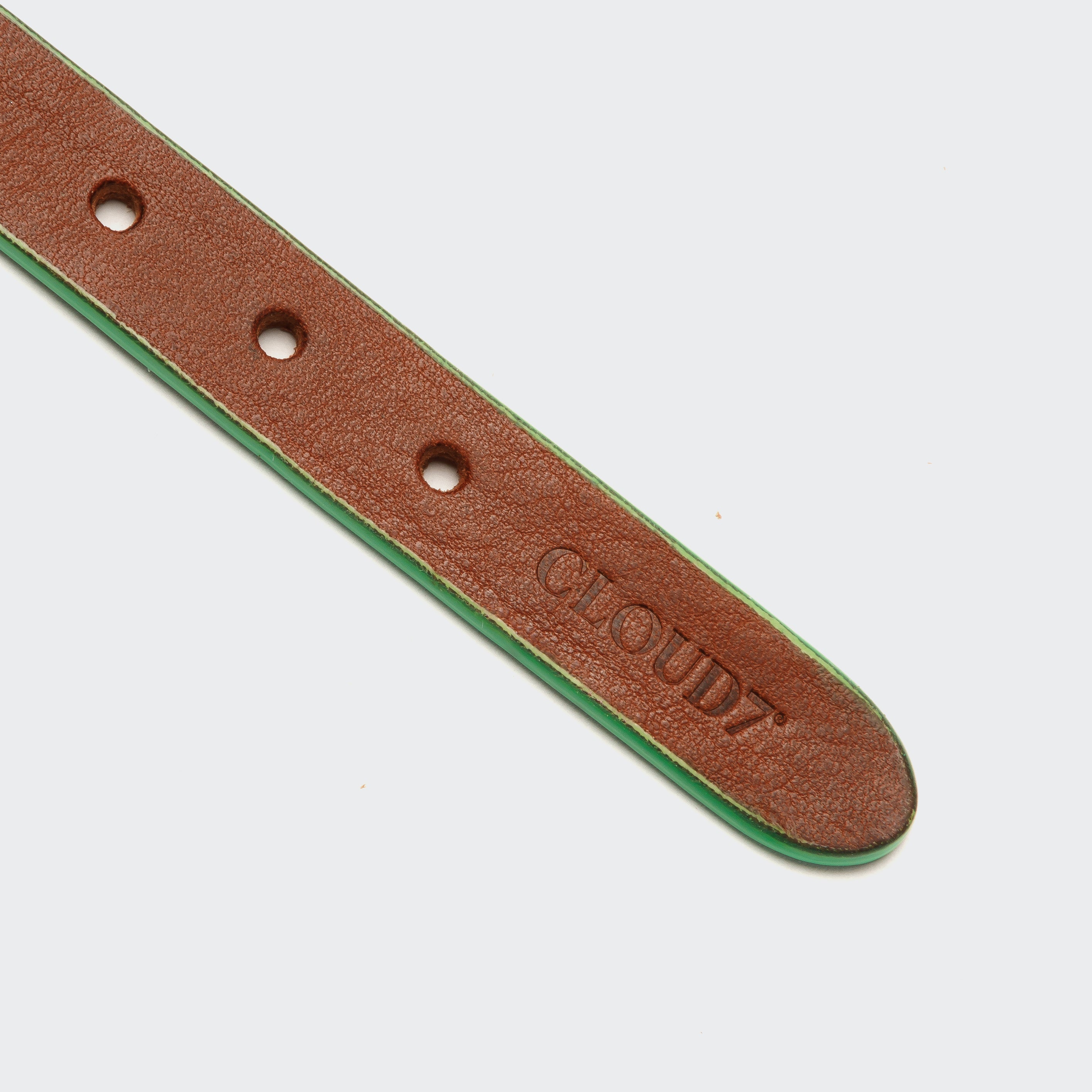 cloud7-hundehalsband-prince-park-cognac-green image 4