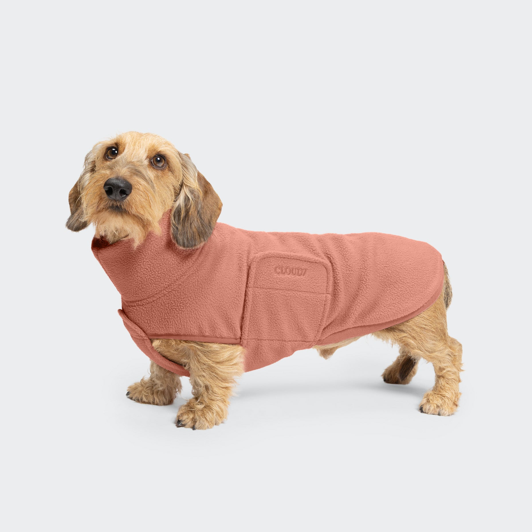 cloud7-dachshund-sweater-derby-2-0-faded-rose-dackelpullover image 1