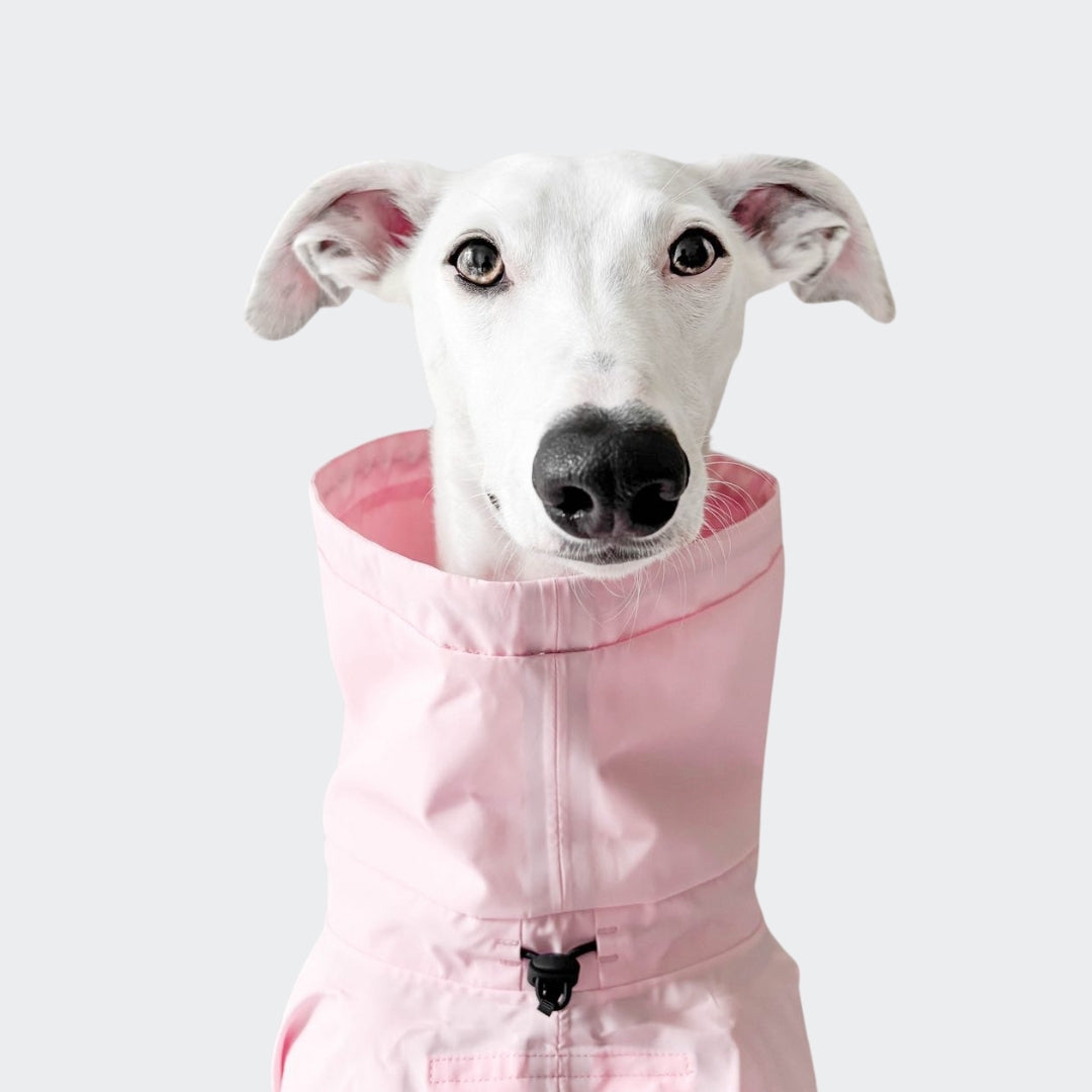 cloud7-aktiv-hunderegenmantel-peach-neon-pink image 5