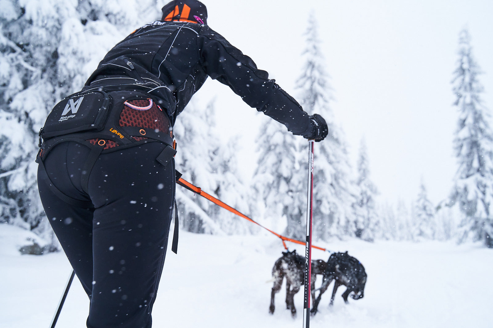 non-stop-dogwear-l-ype-belt-skij-ring-h-ftgurt image 7