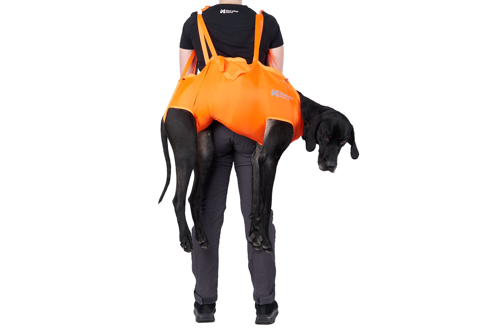 non-stop-dogwear-dog-rescue-sling-hunderucksack-trage image 1