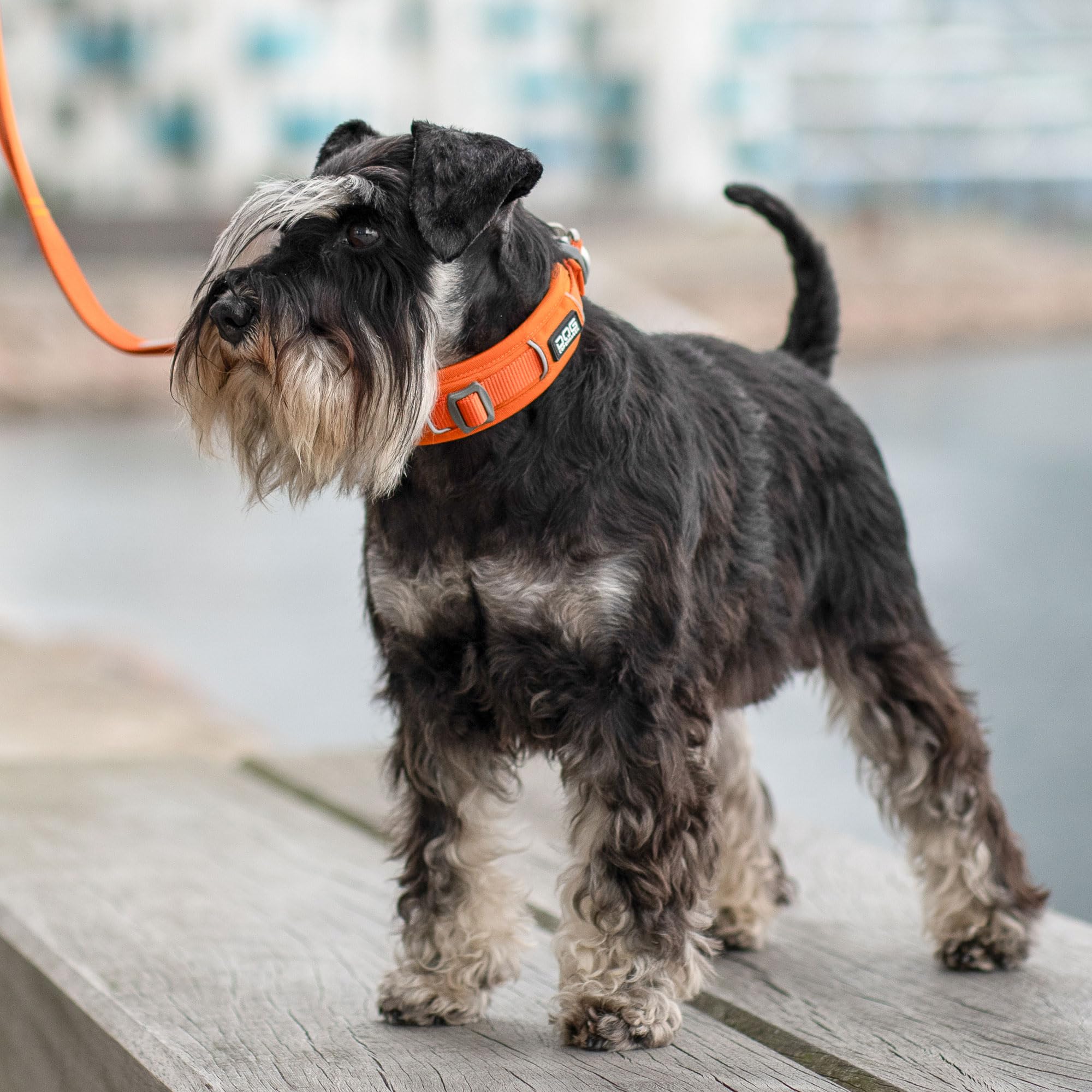 dog-copenhagen-urban-explorer-3-0-halsband-classic-red-m image 8