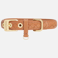 william-walker-leder-hundehalsband-prestige-caramel-braun-geflochten image 4