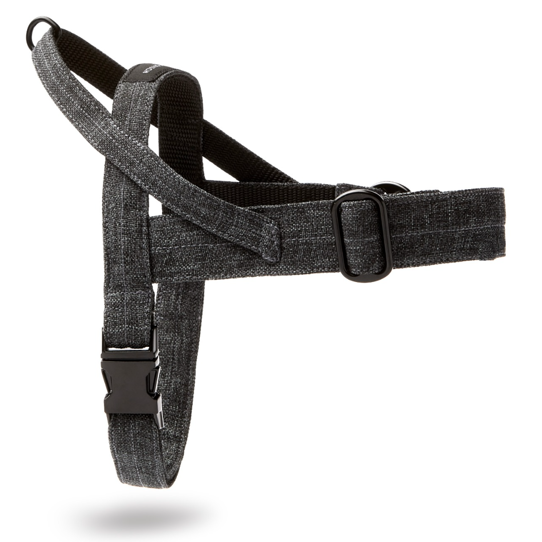 molly-and-stitch-soft-rock-hundegeschirr-grey image 1
