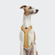 cloud7-y-1-harness-aktiv-air-mesh-peach image 4