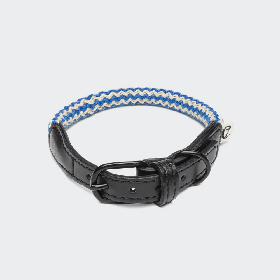 cloud7-mauerpark-zigzag-blue-veganes-hundehalsband-kaktusleder image 1