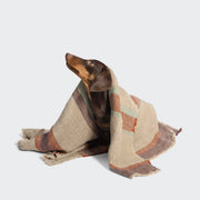 cloud7-siesta-hundedecke-linen-stripes-leinen image 2
