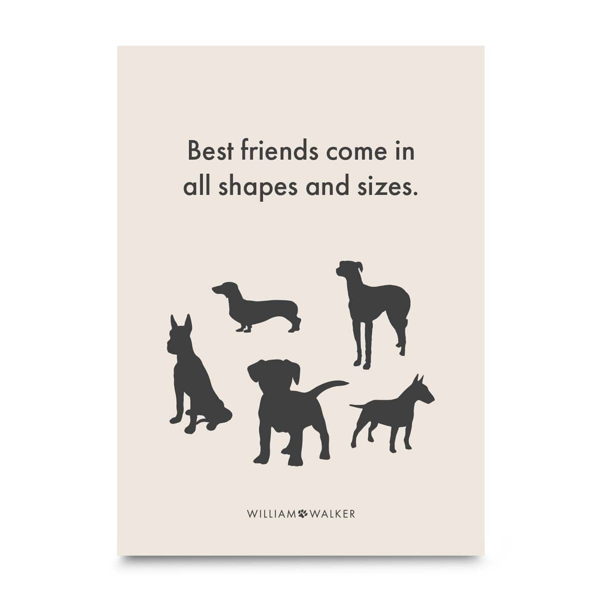 william-walker-postkarte-best-friends-gru-karte-shapes-and-sizes image 2
