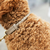 william-walker-leder-hundehalsband-twisted-sand-beige-rindsleder-geflochten image 8