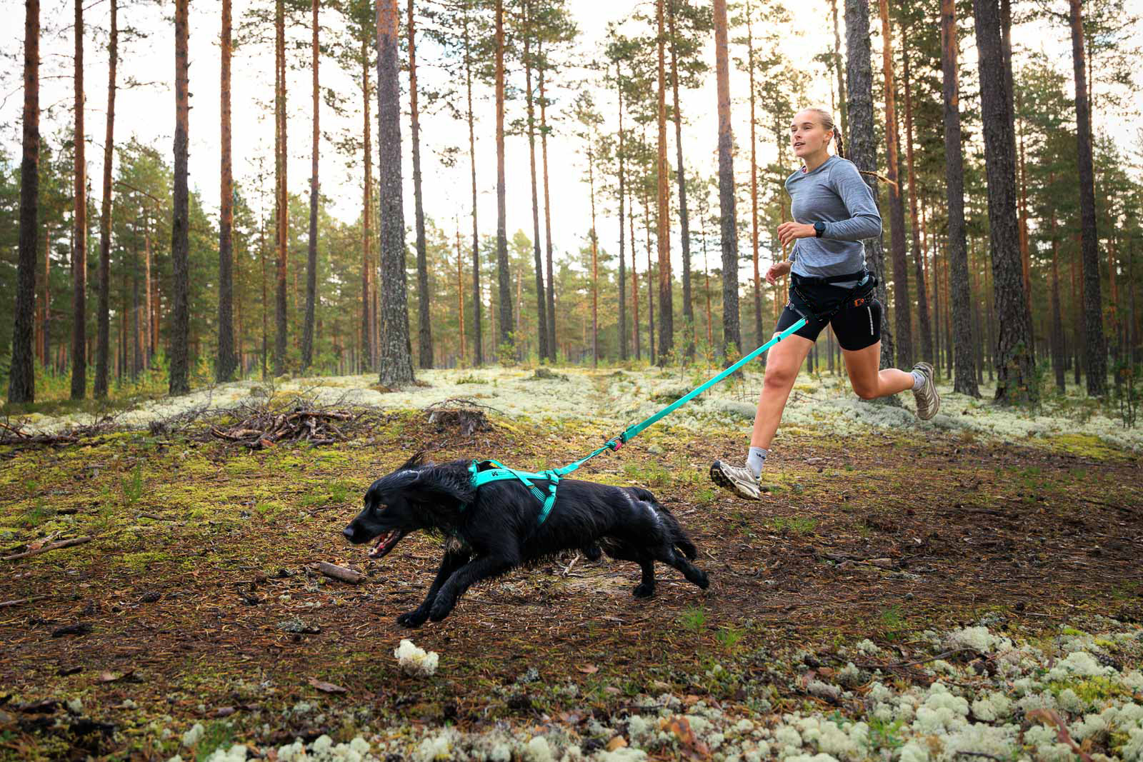 non-stop-dogwear-bungee-leash-elastische-zugleine-2-m-2-8-m image 7