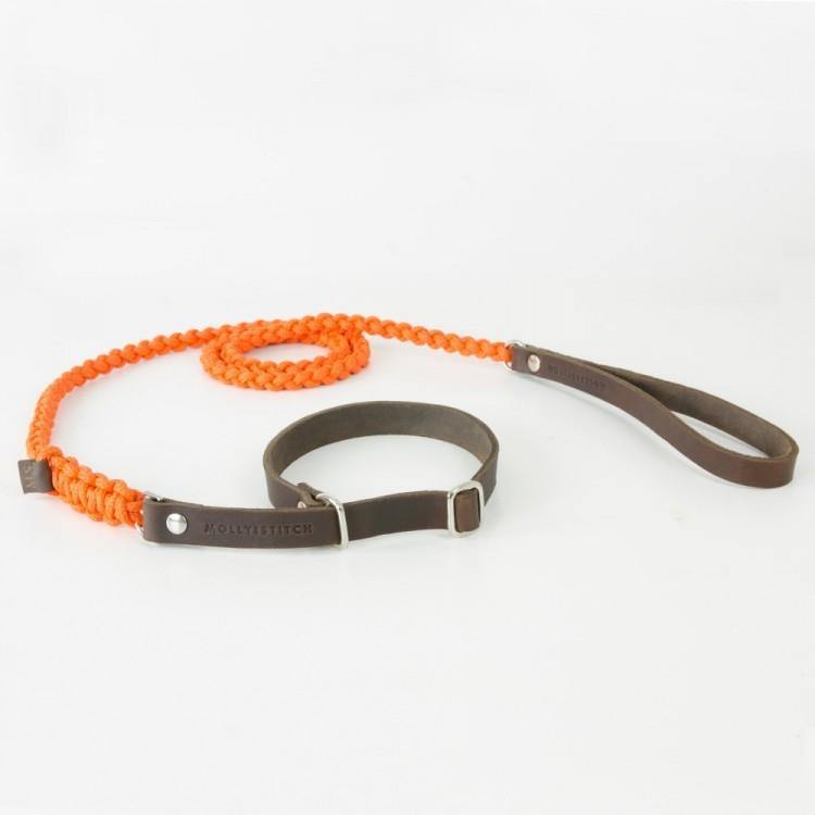 molly-and-stitch-touch-of-leather-retriever-hundeleine-pumpkin image 2