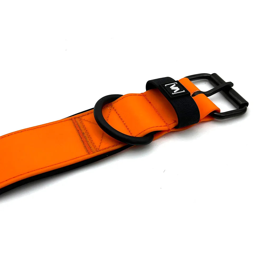 vitomalia-wasserhalsband-aqua-edition-orange image 3