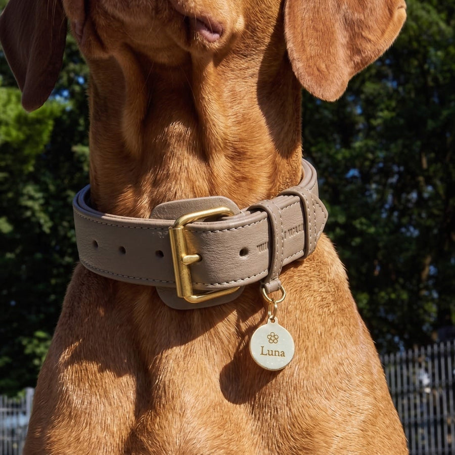william-walker-runde-hundemarke-aus-messing-25-mm-personalisierbar image 3
