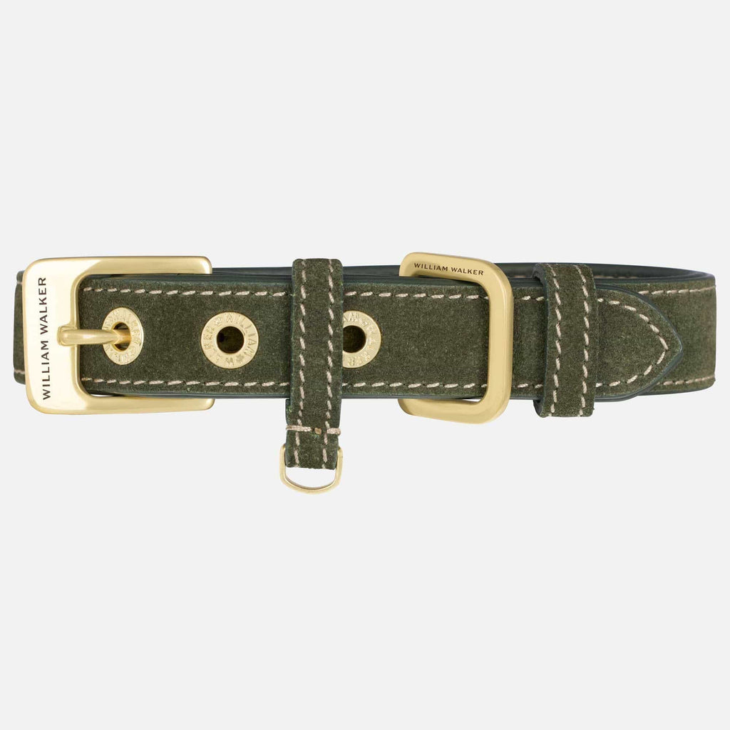 william-walker-wildleder-hundehalsband-forest-dunkelgr-n image 1