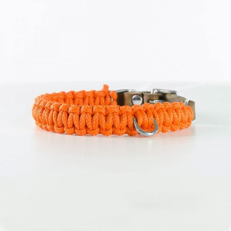 molly-and-stitch-touch-of-leather-hundehalsband-pumpkin image 2
