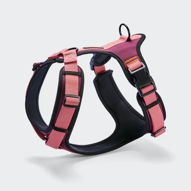 cloud7-aktiv-y-3-hundegeschirr-softshell-aubergine-soft-rose image 1