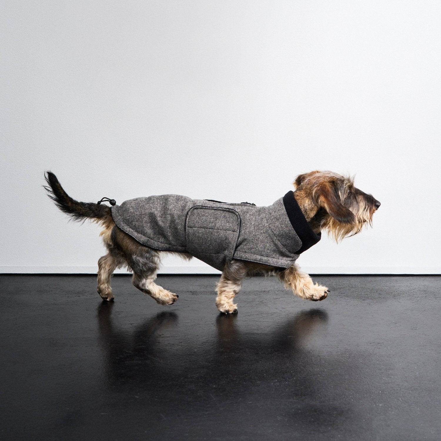 cloud7-hundemantel-dackel-brooklyn-tweed-black image 2