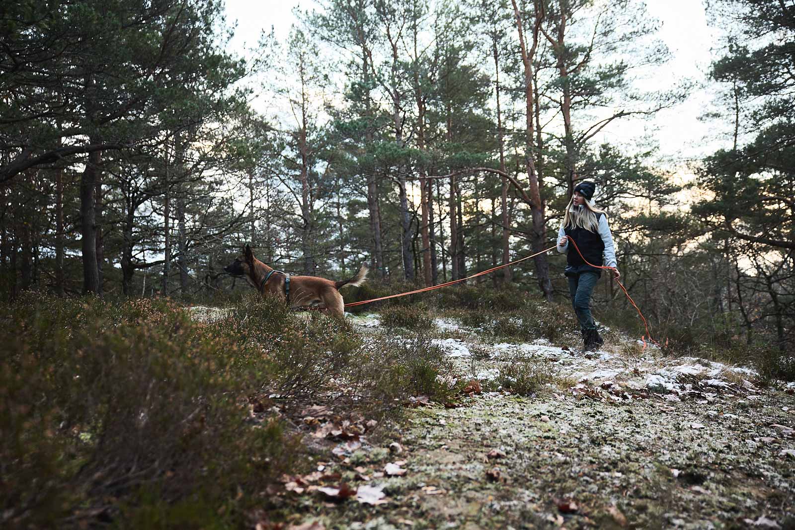 non-stop-dogwear-friction-long-line-leichte-schleppleine-mit-gummigriff image 2