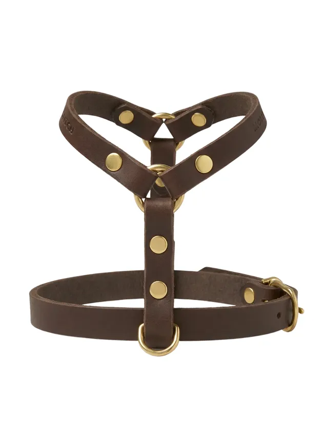 molly-and-stitch-butter-leather-y-geschirr-classic image 1