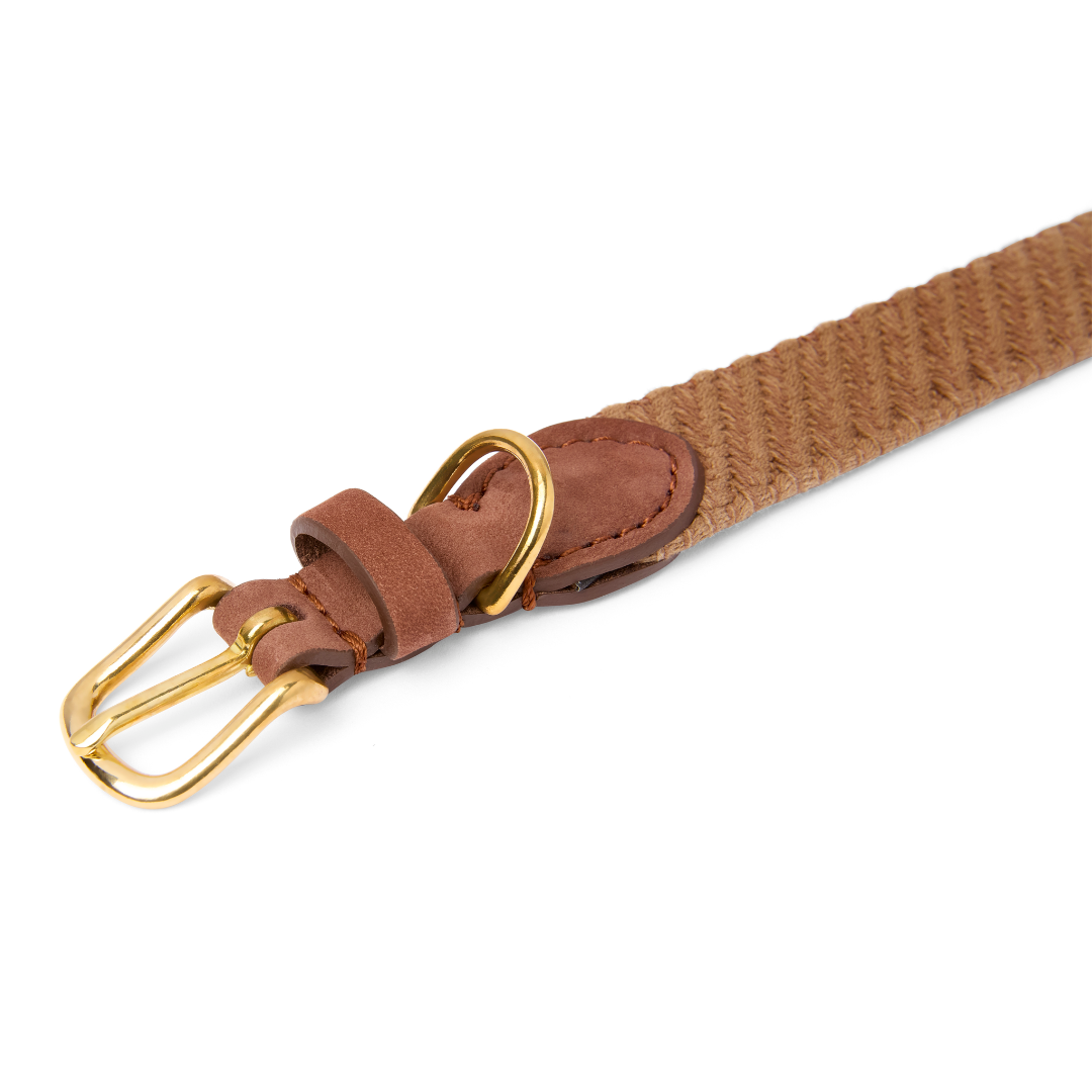 molly-and-stitch-serrana-hundehalsband-whiskey image 2