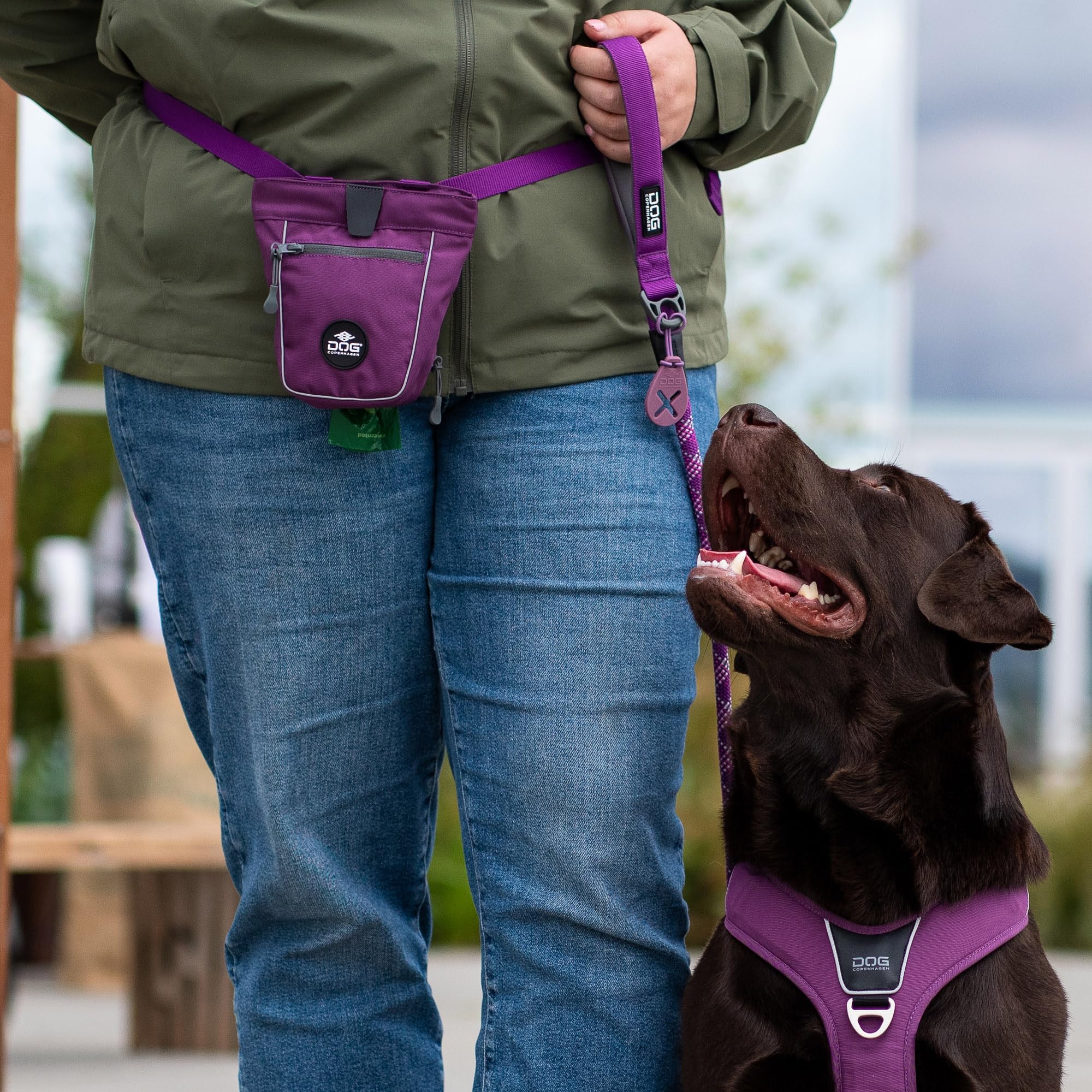 dog-copenhagen-go-explore-leckerli-tasche-wild-rose-one-size image 7