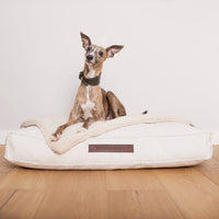 william-walker-chill-orthop-disches-hundekissen-off-white image 8