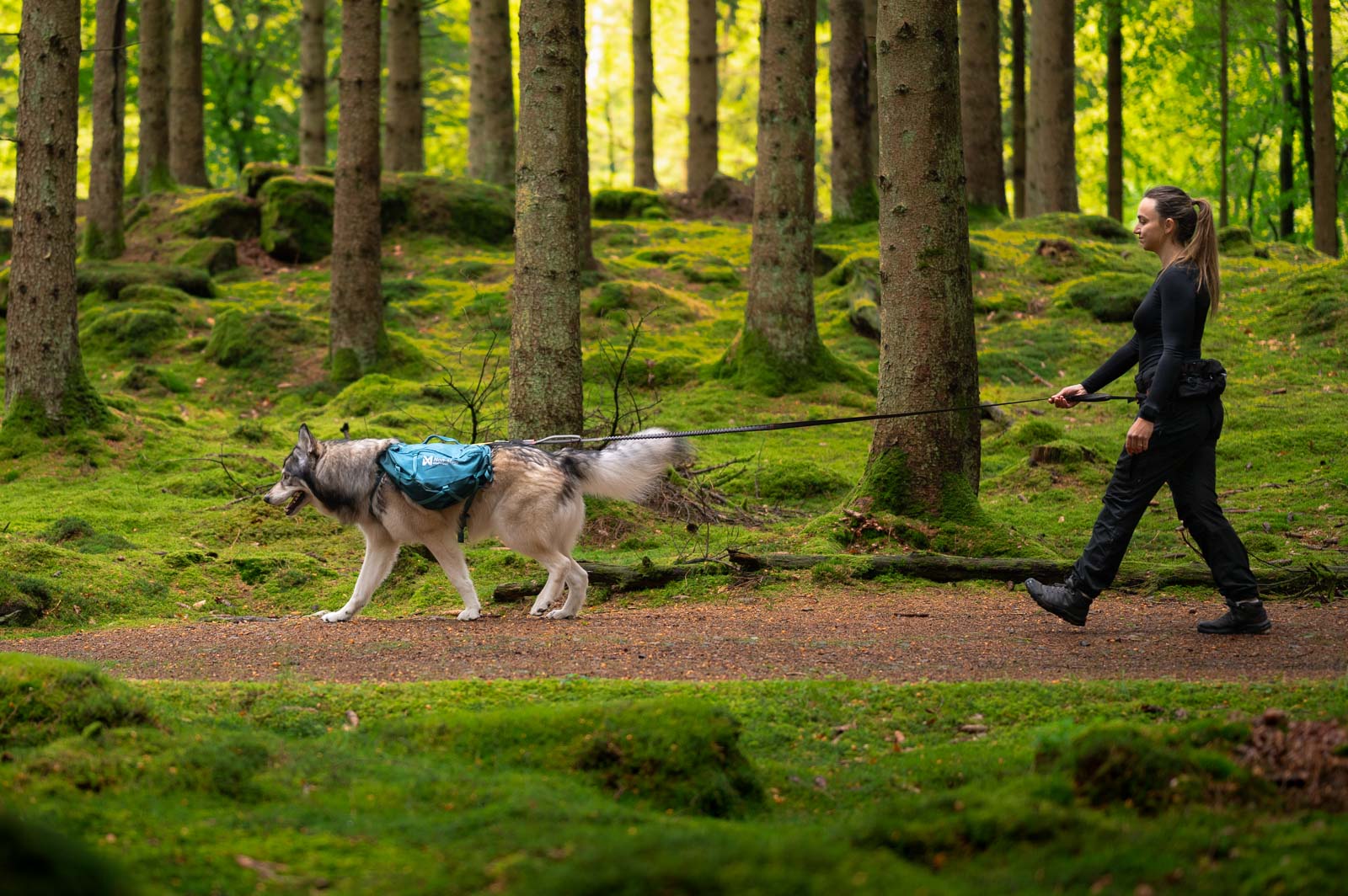 non-stop-dogwear-trail-quest-dog-backpack-hundrucksack-mit-y-geschirr-f-r-wander image 3