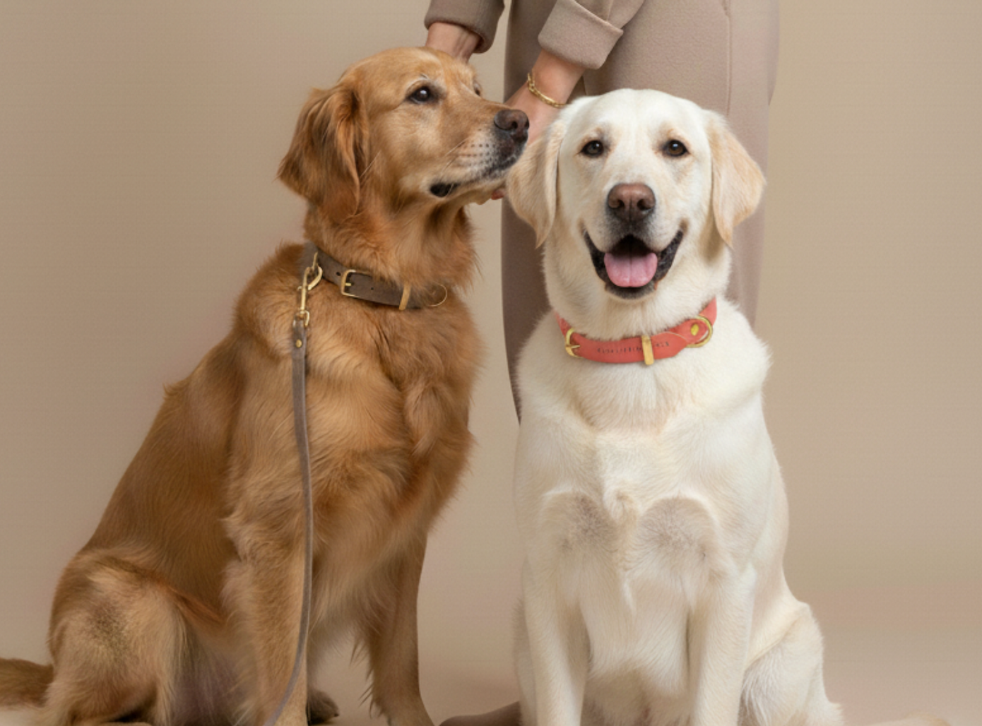 molly-and-stitch-butter-leather-hundehalsband-taupe image 2