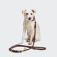 cloud7-riverside-park-hundeleine-saddle-brown-gold-2-25-m-verstellbar image 2
