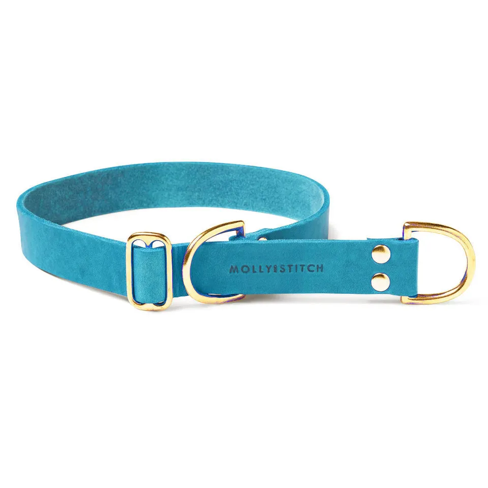 molly-and-stitch-butter-leather-retriever-halsband-fiji-blue image 1