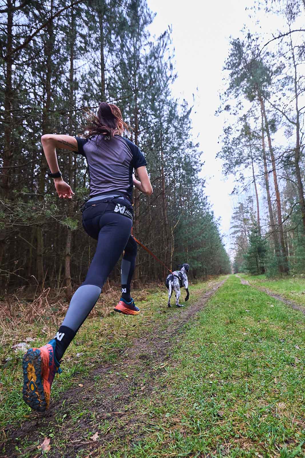 non-stop-dogwear-canix-belt-pro-canicross-laufg-rtel image 3