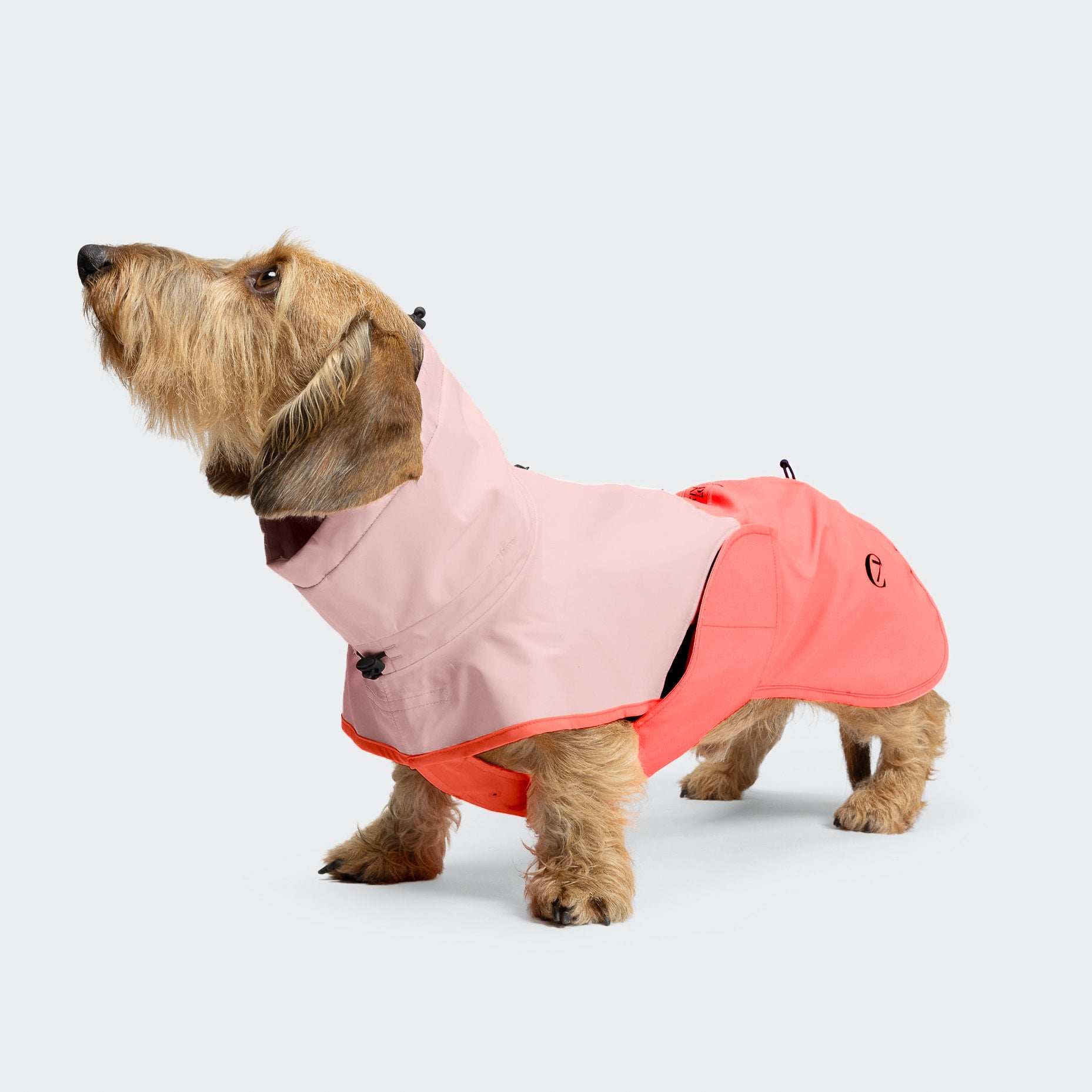 cloud7-aktiv-hunderegenmantel-dackel-peach-neon-pink-wasserdichter-performance-m image 2