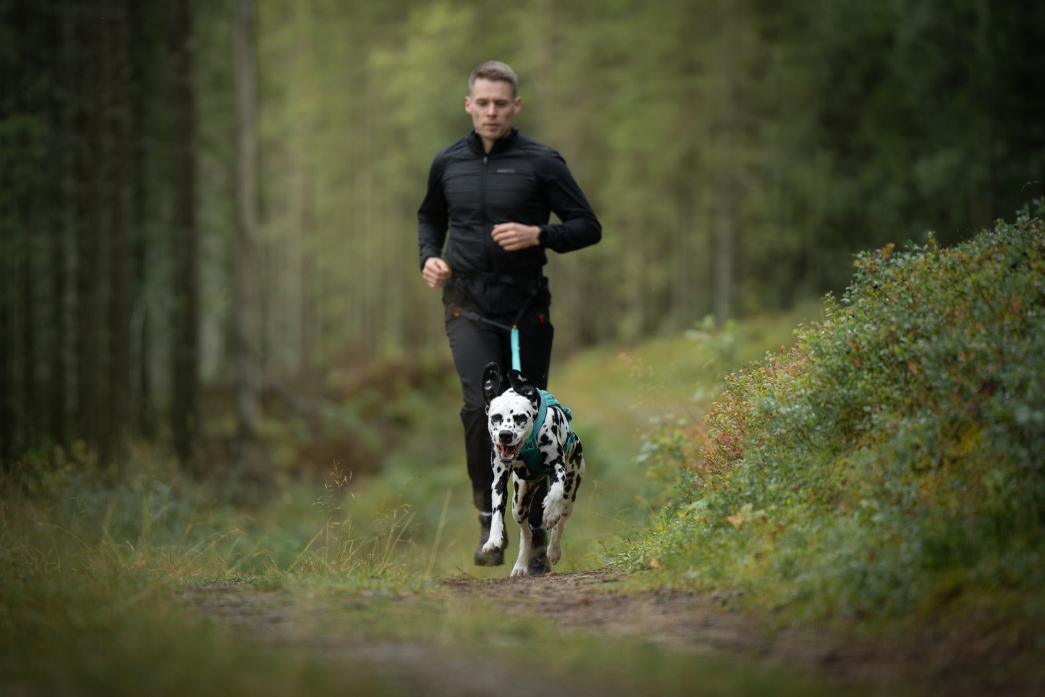 non-stop-dogwear-canix-belt-3-0-laufg-rtel-f-r-canicross image 5