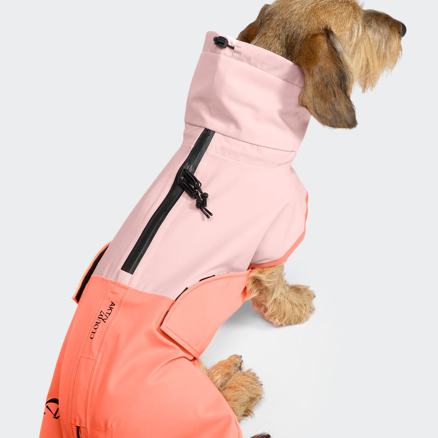 cloud7-aktiv-hunderegenmantel-dackel-peach-neon-pink-wasserdichter-performance-m image 4