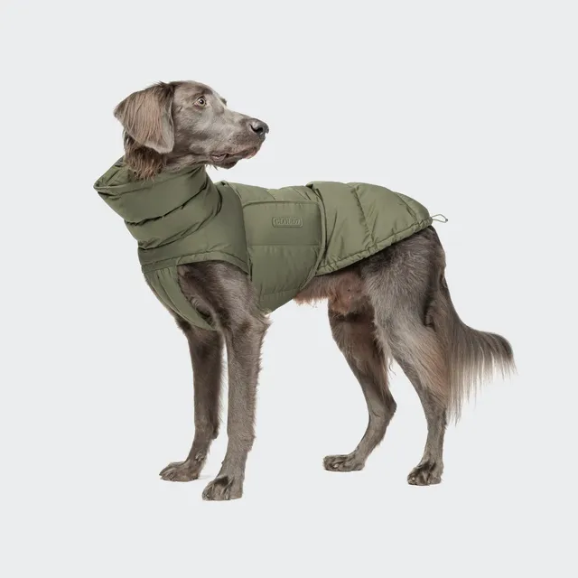 cloud7-hundemantel-alaska-light-olive-2 image 1