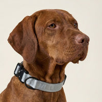 william-walker-jacquard-nylon-hundehalsband-lunar-reflektierend-grau image 8