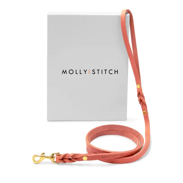 molly-and-stitch-butter-leather-city-hundeleine-coral-pink image 1
