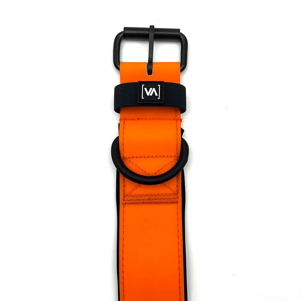 vitomalia-wasserhalsband-aqua-edition-orange image 2