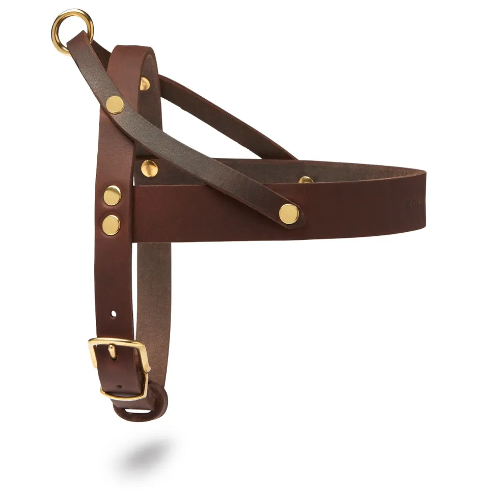 molly-and-stitch-butter-leather-hundegeschirr-classic-brown image 1